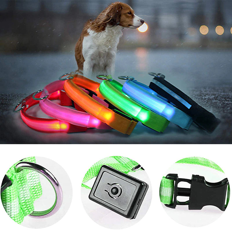 Collar luminoso perro, LED, USB recargable, varios colores y tallas
