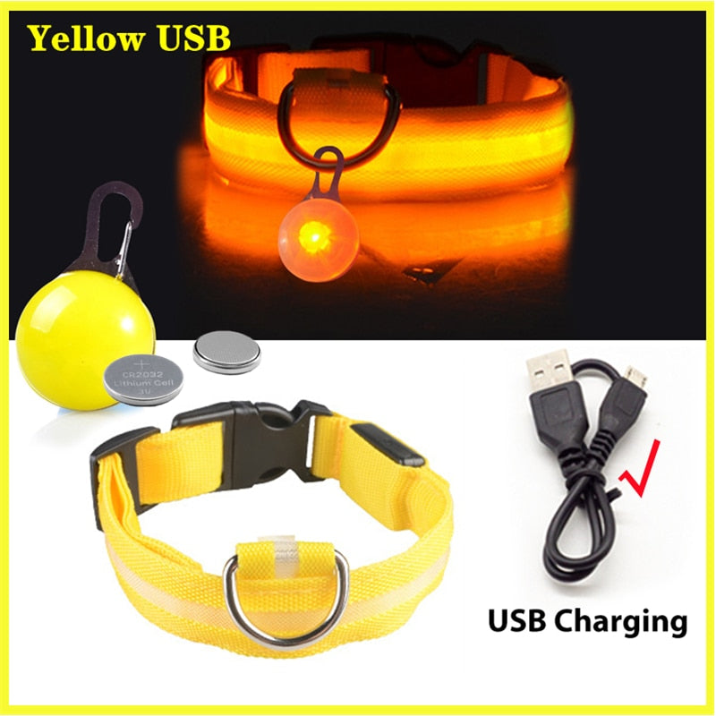 Collier lumineux pour chien, LED, rechargeable par USB, différentes couleurs et tailles