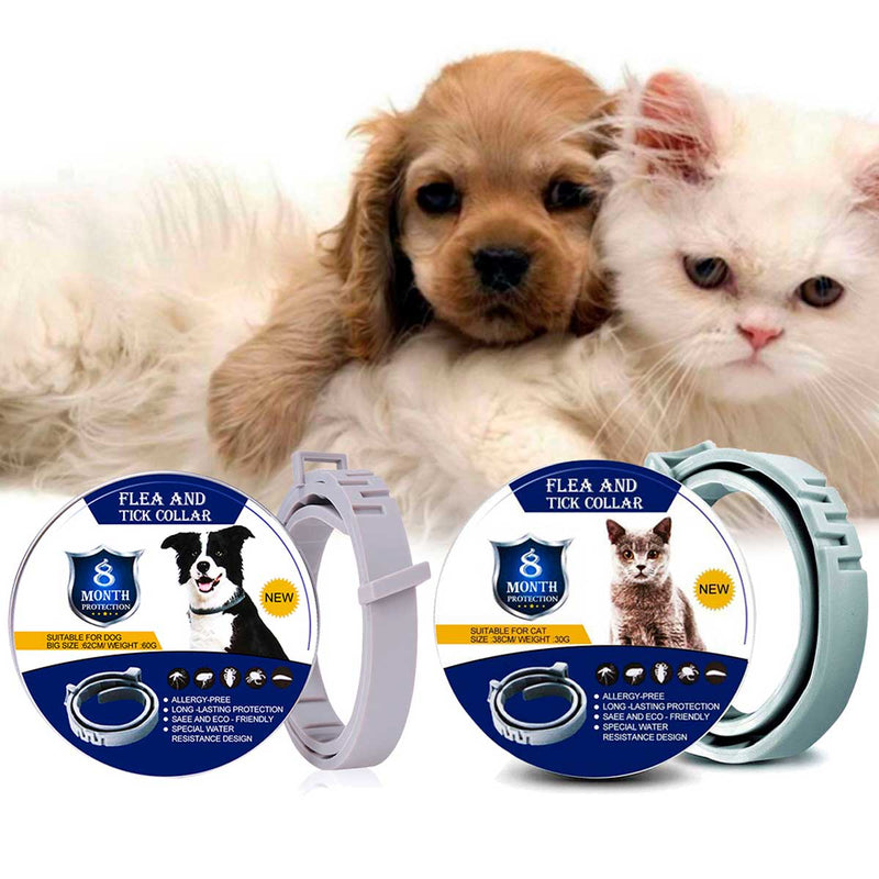 Collier anti-parasites pour chiens et chats, deux tailles réglables 